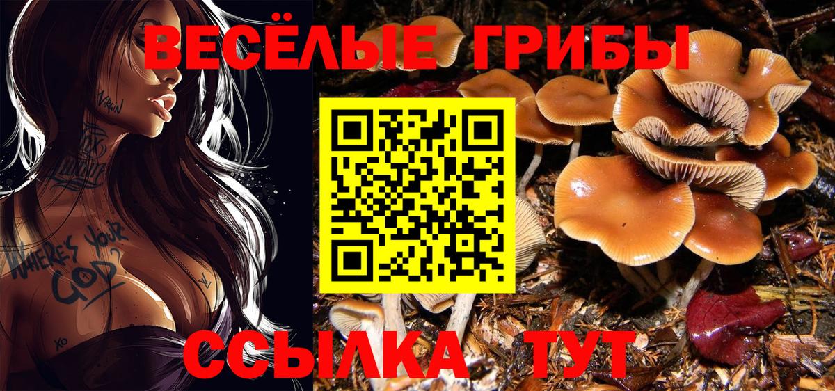Псилоцибиновые грибы Magic Shrooms  Вход с VPN  Псилоцибиновые грибы Psilocybine cubensis  Сорочинск 